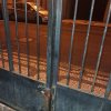 dia 22 de Setembro de 2025 0.45